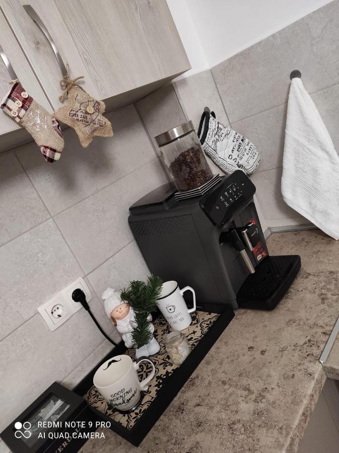 Luxury Mountain View Apartment Brasov Bagian luar foto