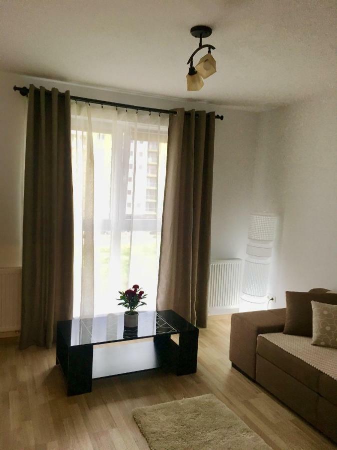 Luxury Mountain View Apartment Brasov Bagian luar foto