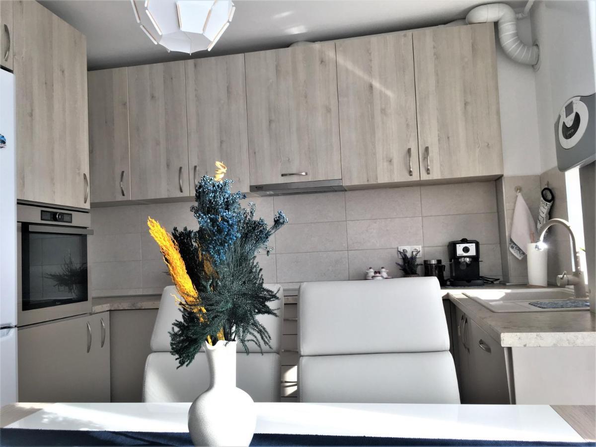 Luxury Mountain View Apartment Brasov Bagian luar foto